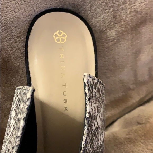 Shoes - Picture 2 of 5